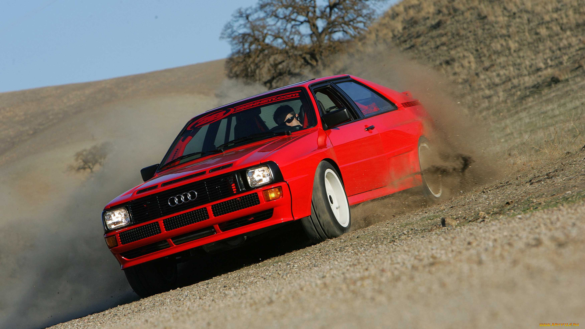 , audi, quattro